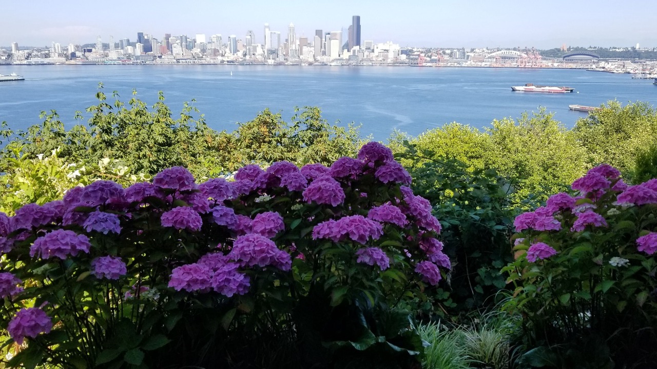 Photo of Others in North Admiral