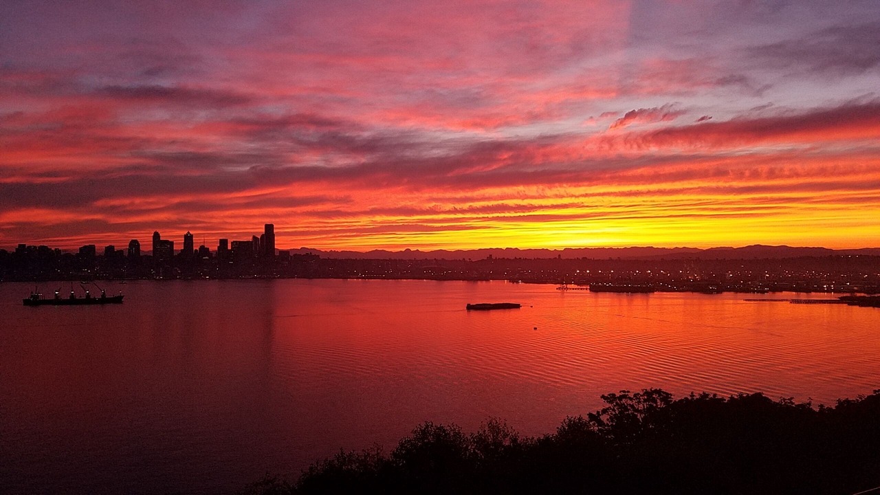 Photo of Others in North Admiral