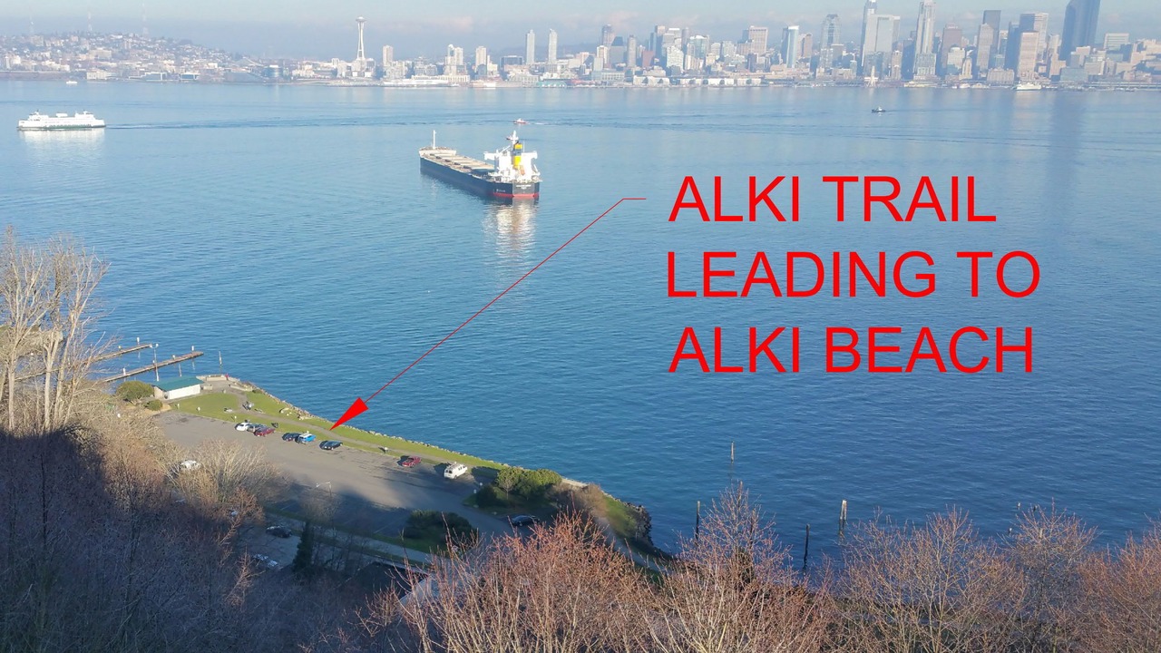 Photo of Others in North Admiral