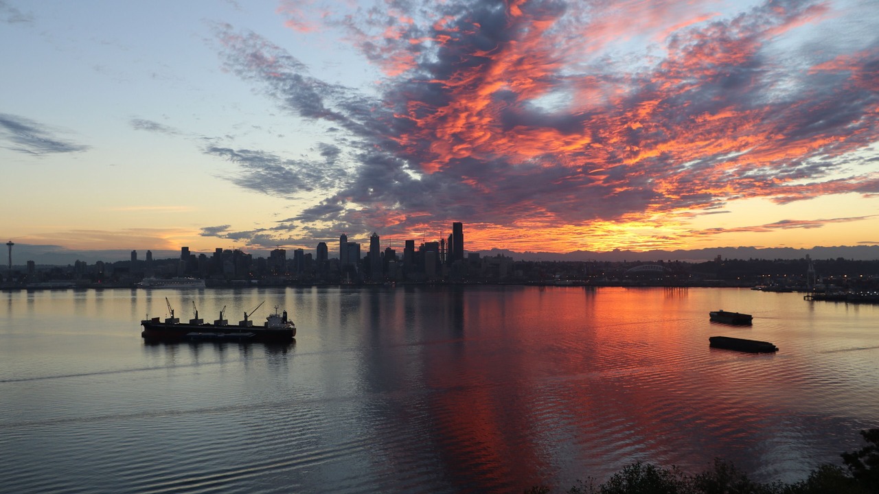 Photo of Others in North Admiral