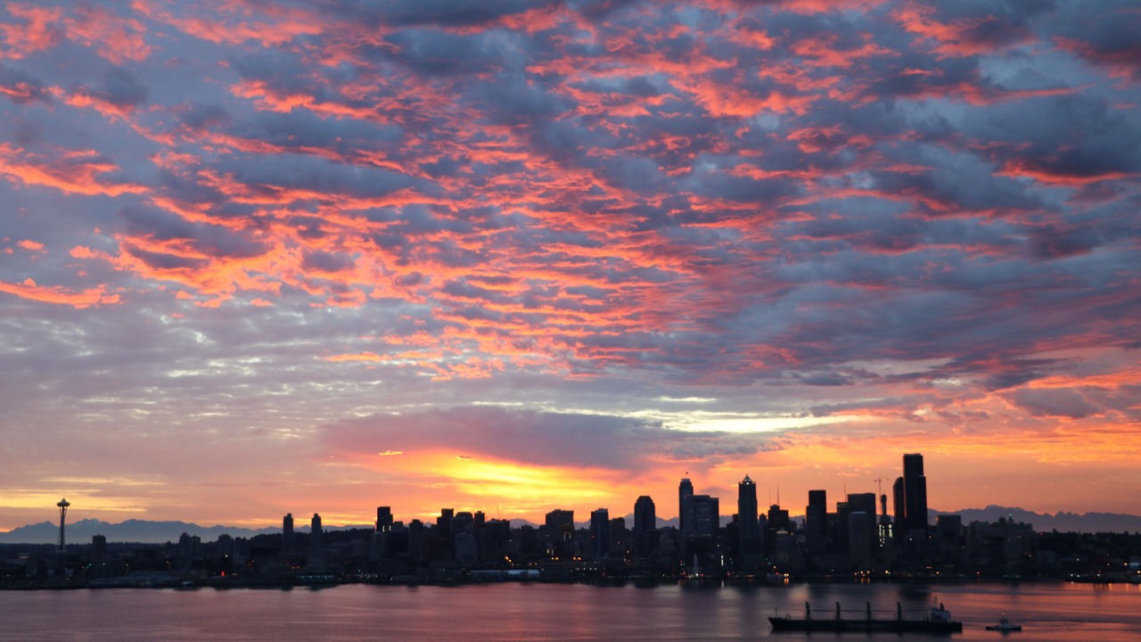 Photo of Others in North Admiral