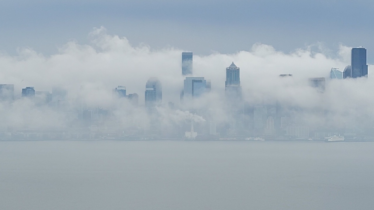 Photo of Others in North Admiral