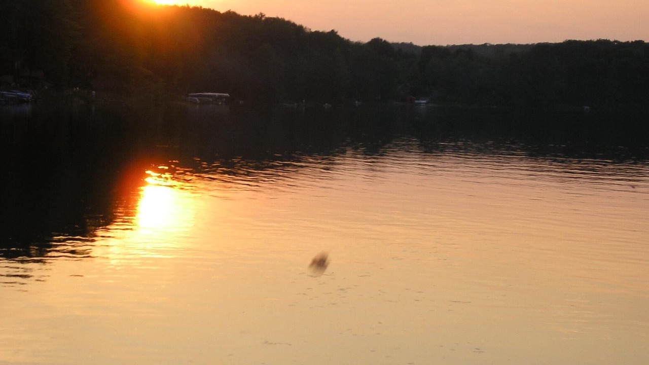 Photo of Outdoor in Hart