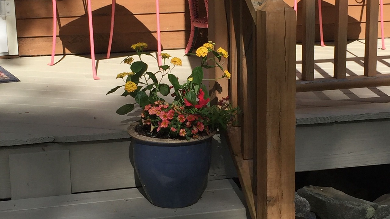 Photo of Outdoor in Peaks Island