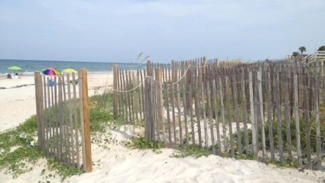 Photo of Others in Elizabeth Mcbrides Raulersons