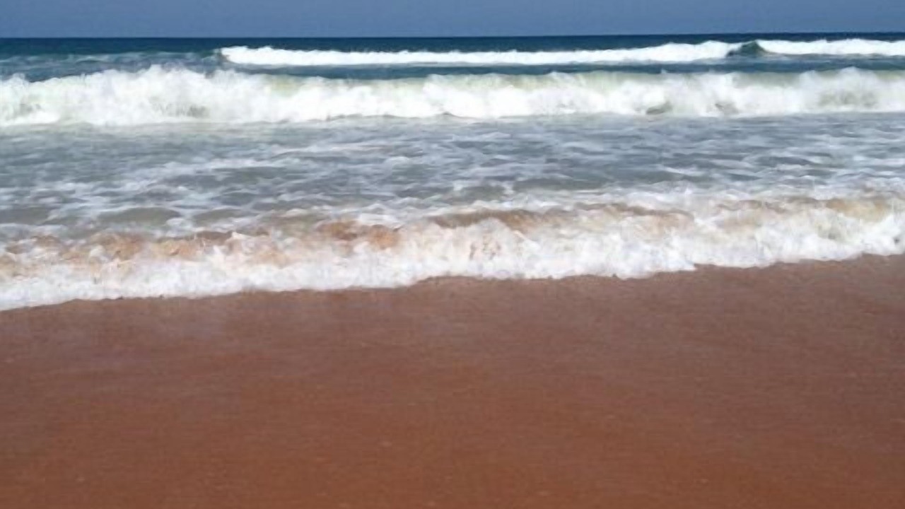 Photo of Others in Elizabeth Mcbrides Raulersons