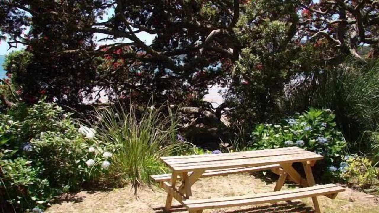 Photo of Others in Coopers Beach