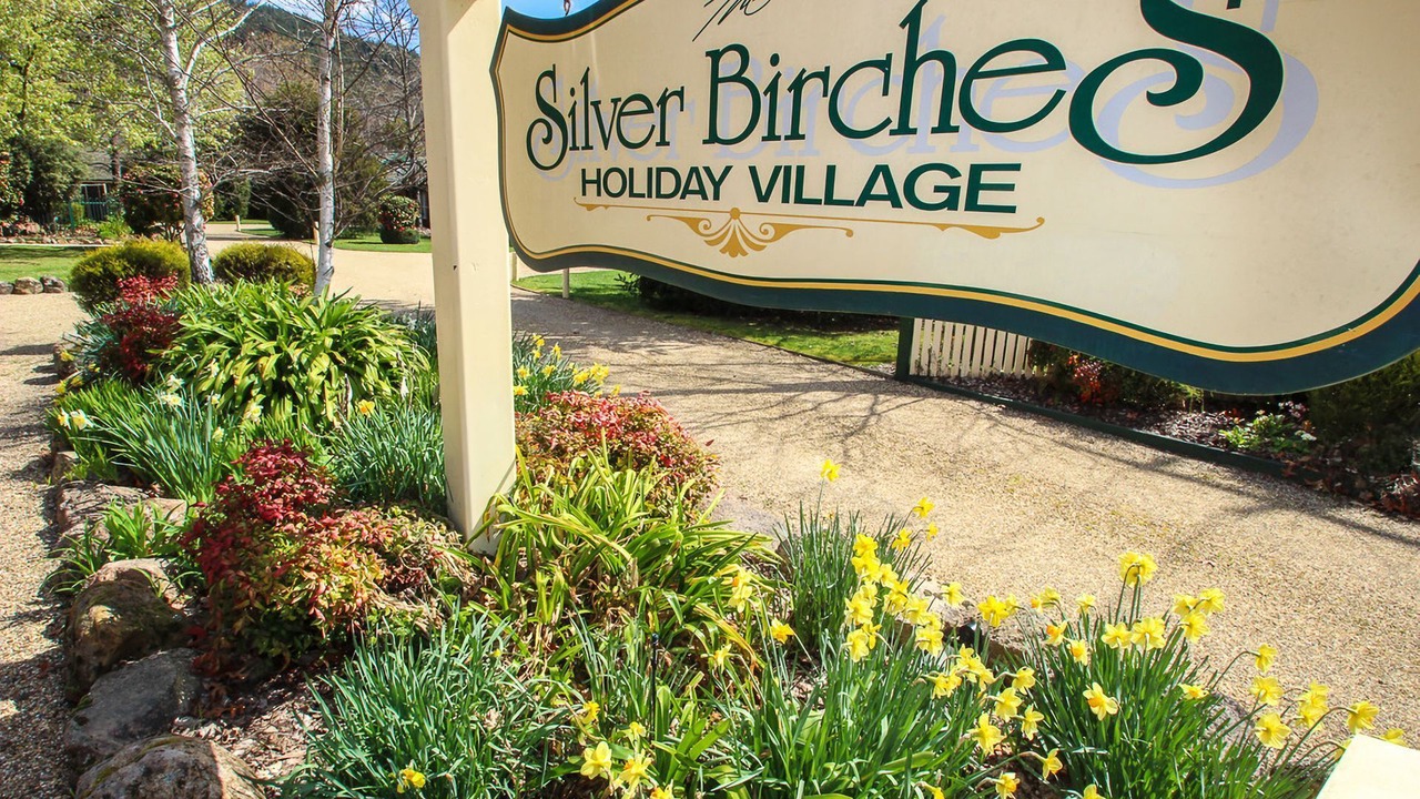 Photo of Outdoor in Bright