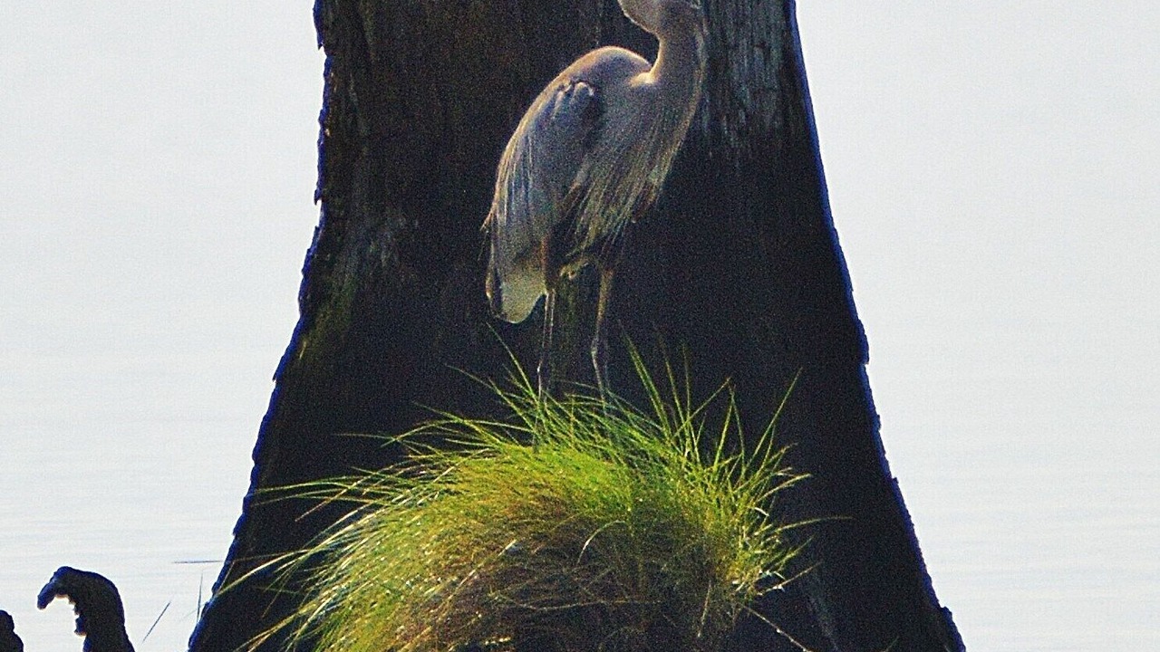 Photo of Outdoor in Hertford