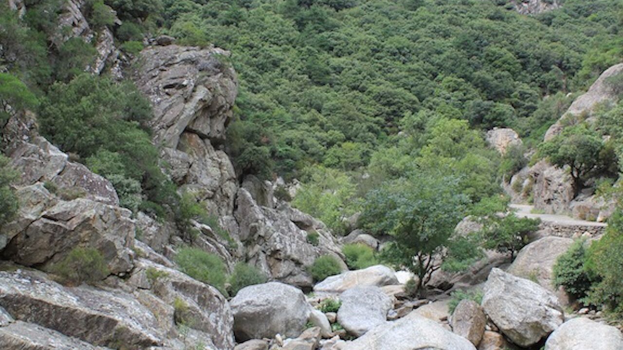 Photo of Others in Roquebrun