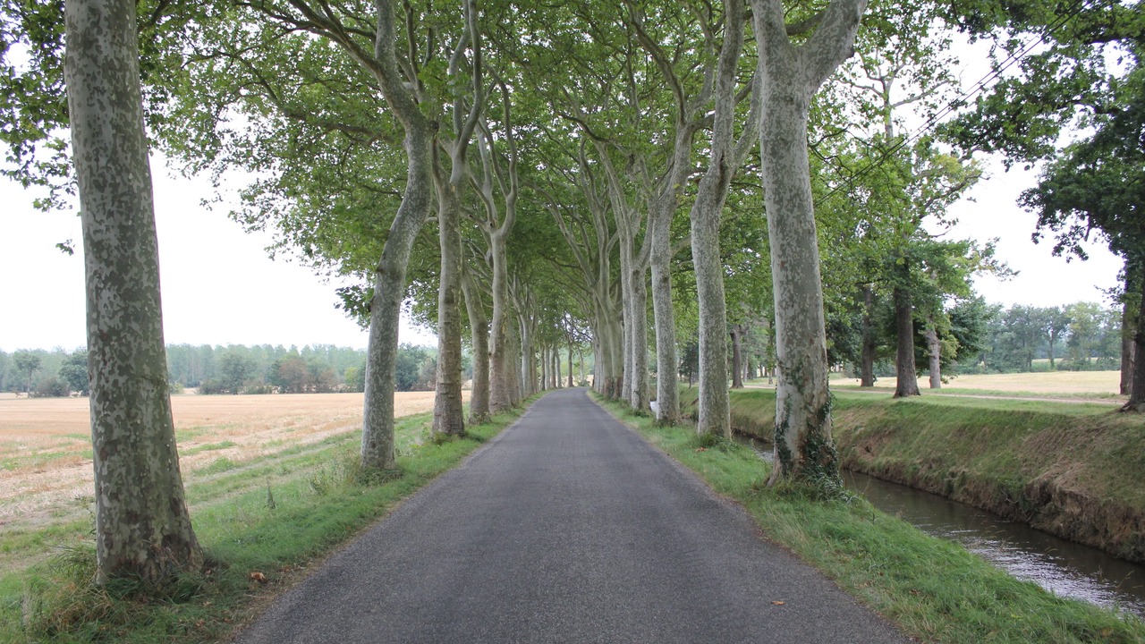 Photo of Others in Roquebrun