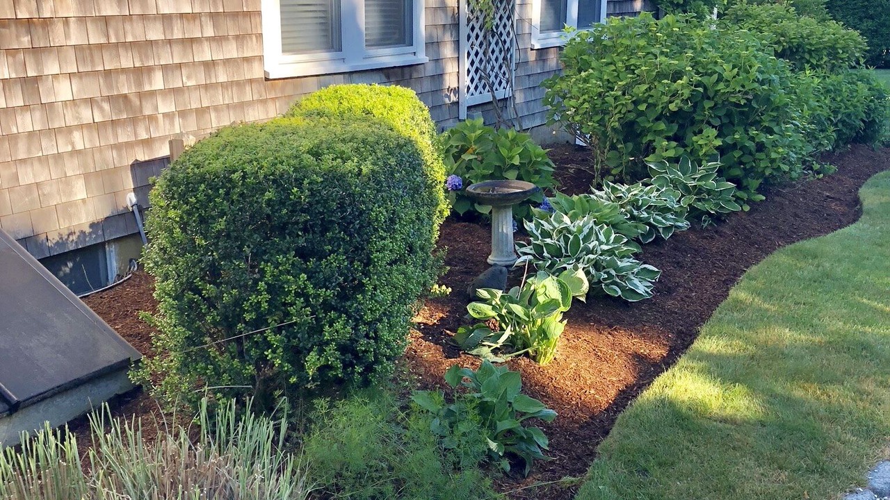 Photo of Outdoor in East Orleans