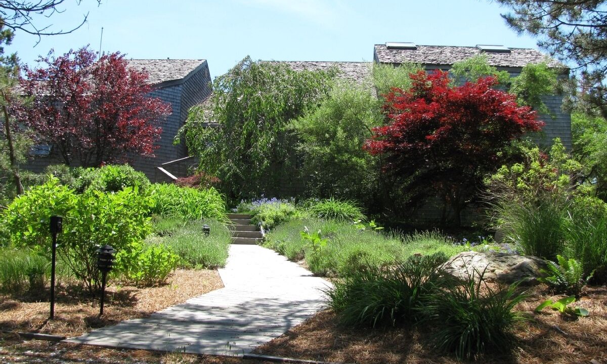 Photo of Outdoor in Wellfleet