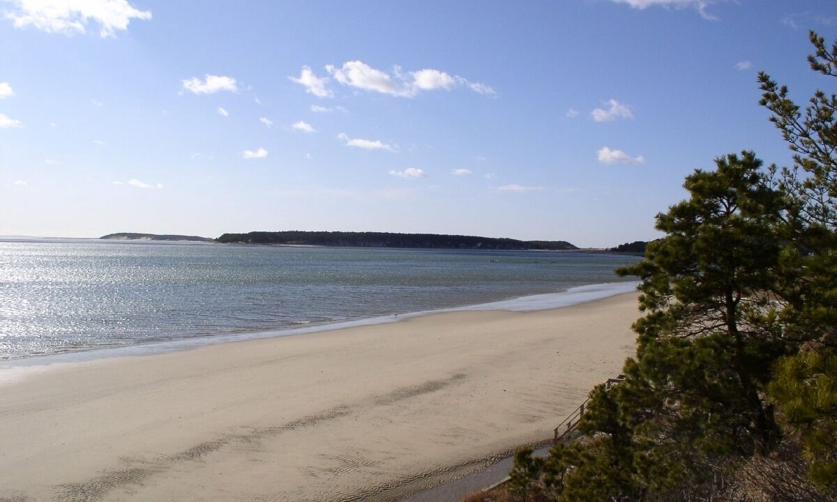 Photo of Others in Wellfleet