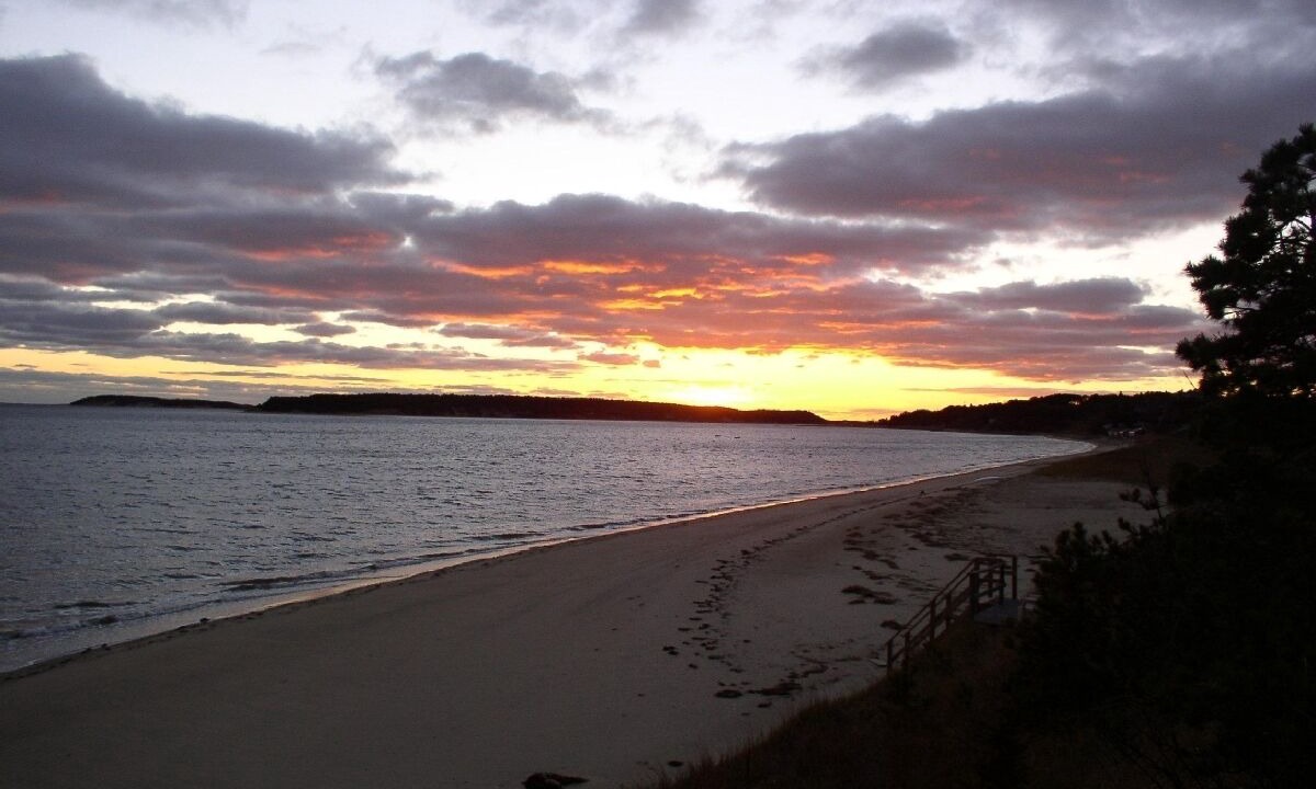 Photo of Others in Wellfleet