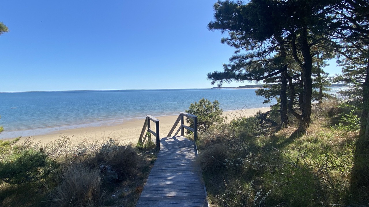 Photo of Others in Wellfleet