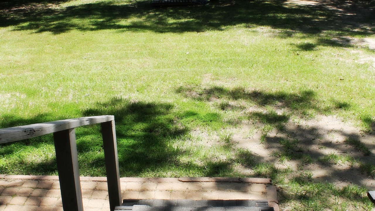 Photo of Outdoor in Long Branch