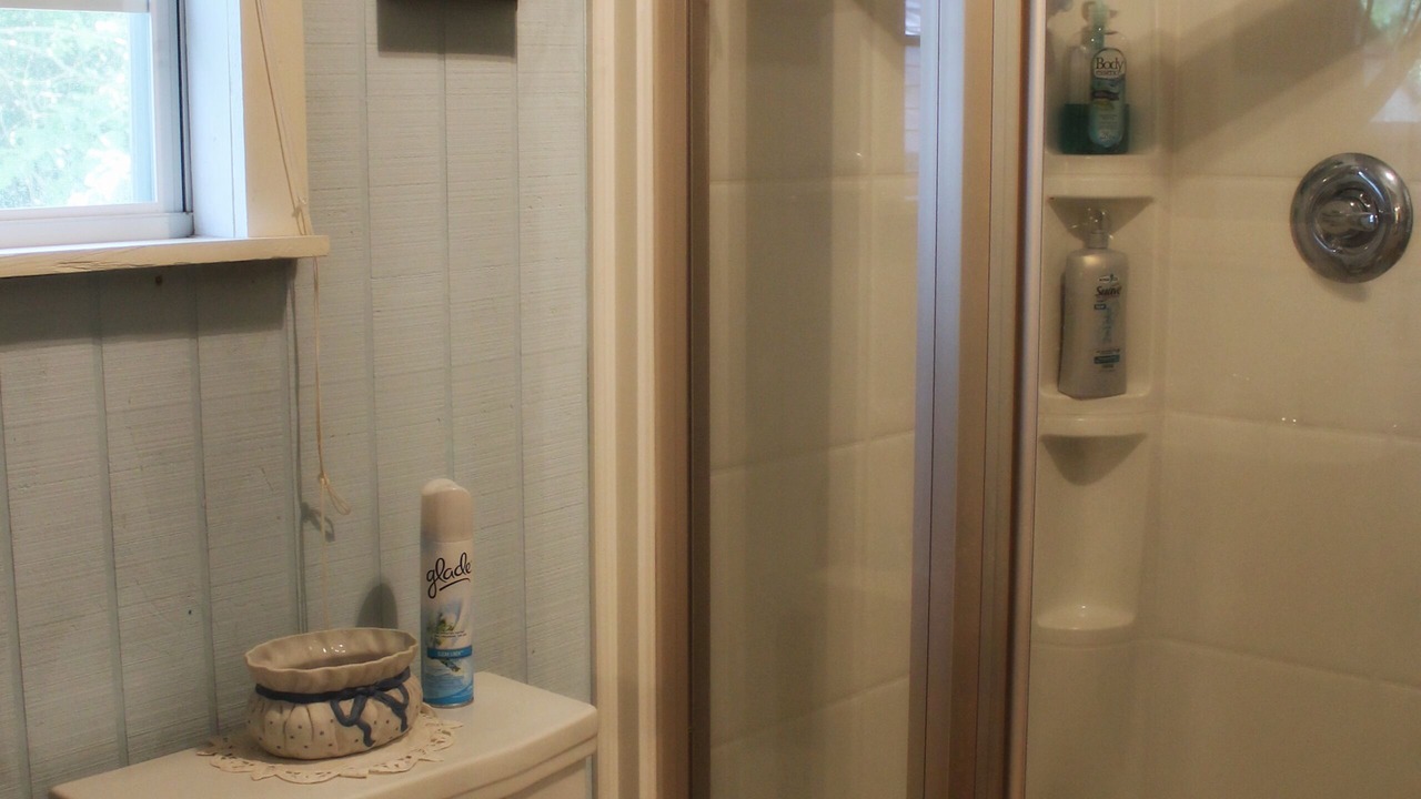 Photo of Bathroom in Long Branch