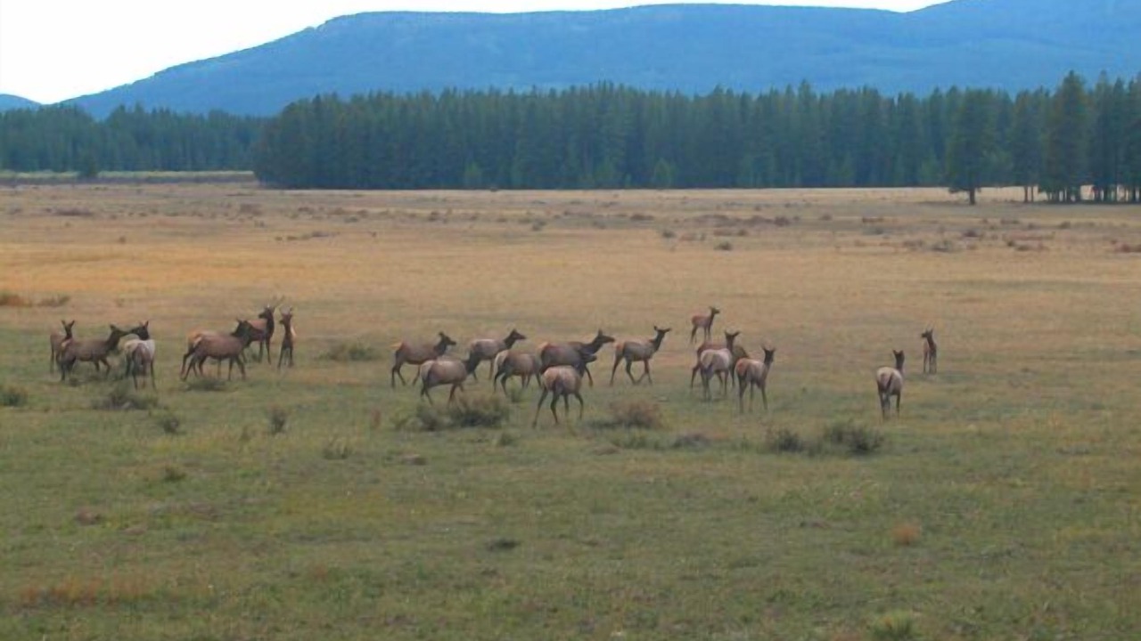 Photo of Others in Grand Lake