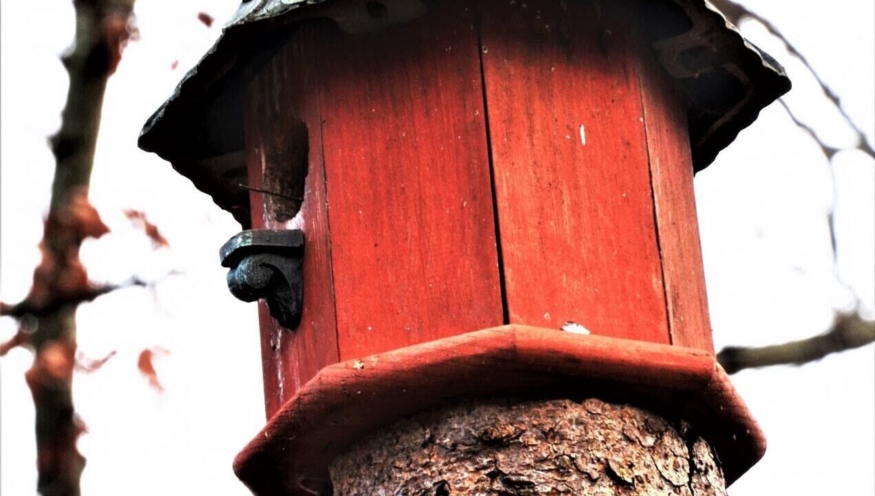 Photo of Outdoor in Gettysburg