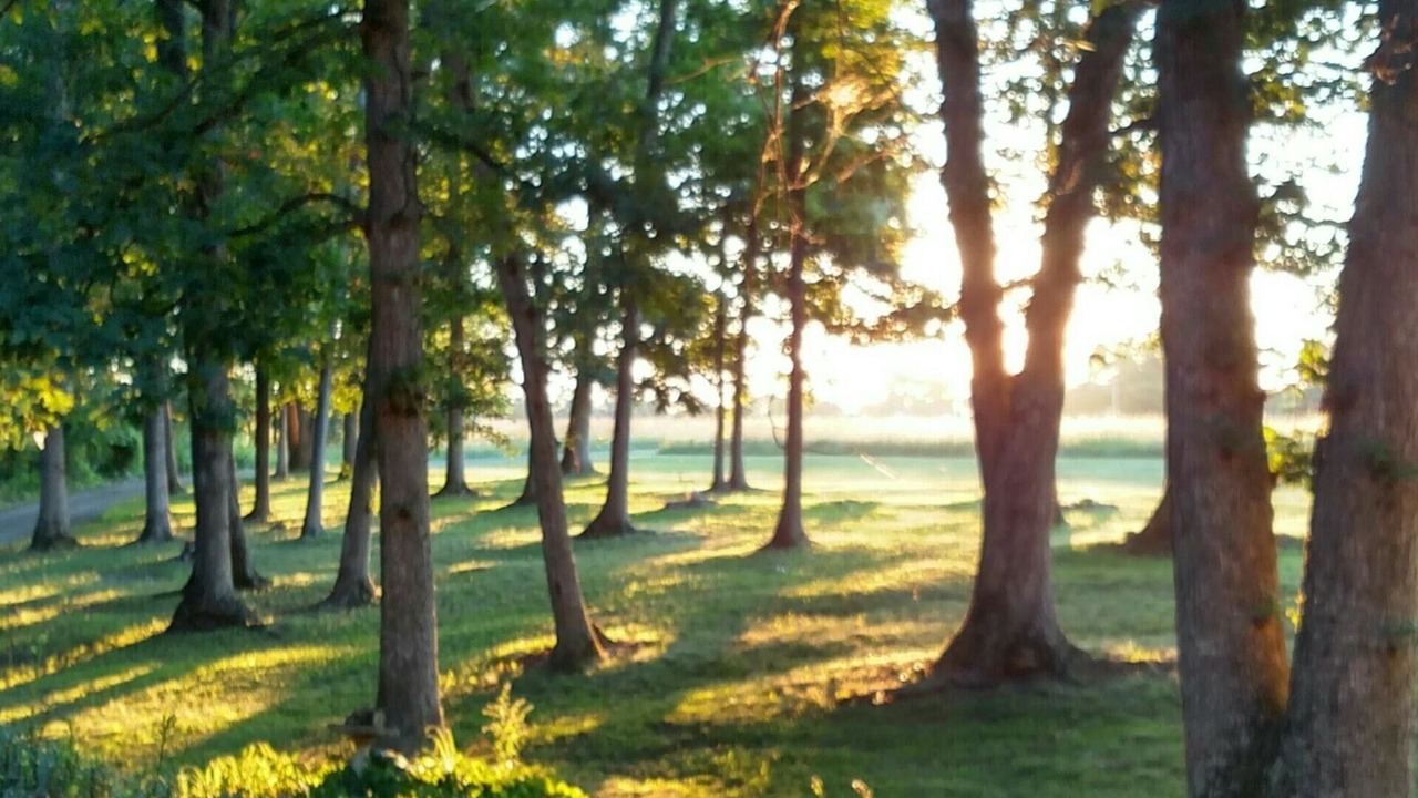 Photo of Outdoor in Gettysburg