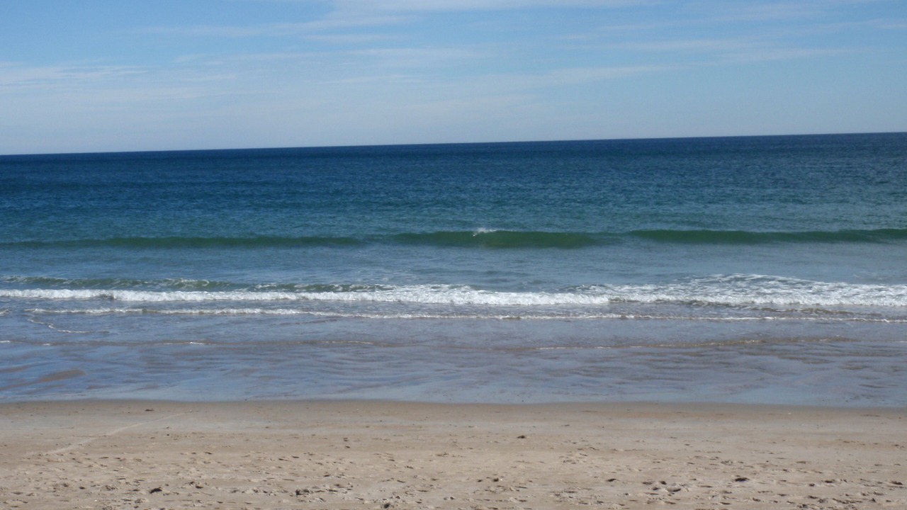 Photo of Others in Hampton