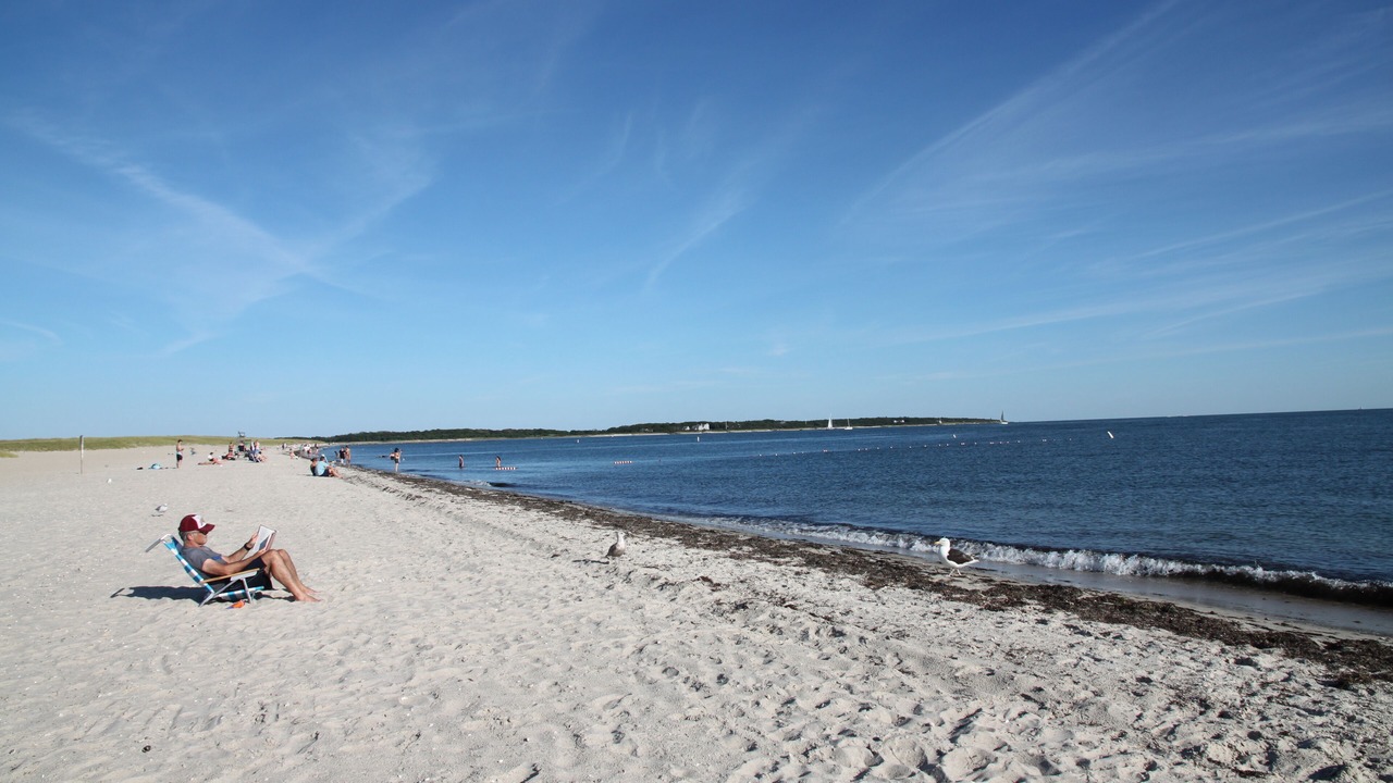 Photo of Others in Osterville