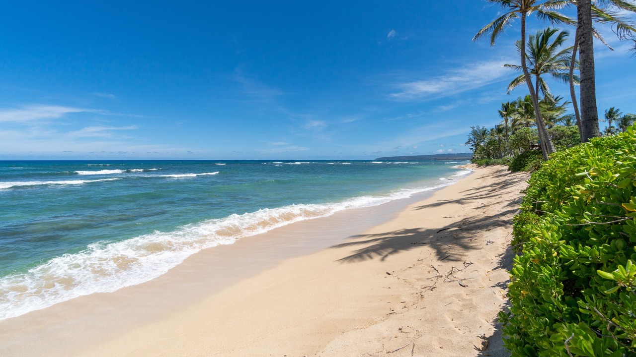 Photo of Others in Mokuleia