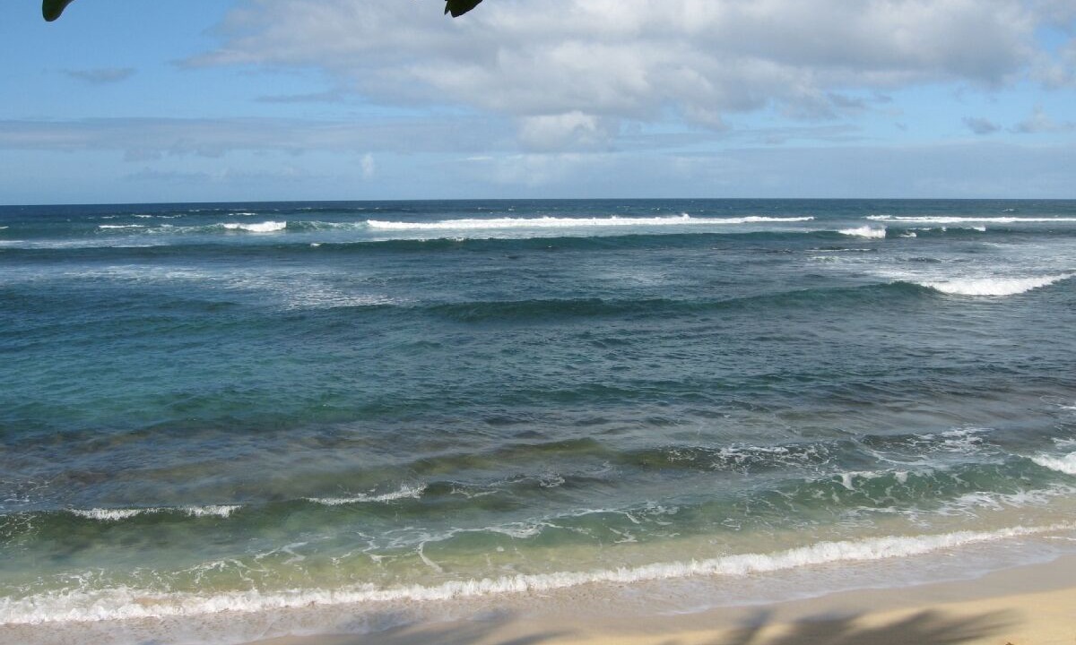 Photo of Others in Mokuleia