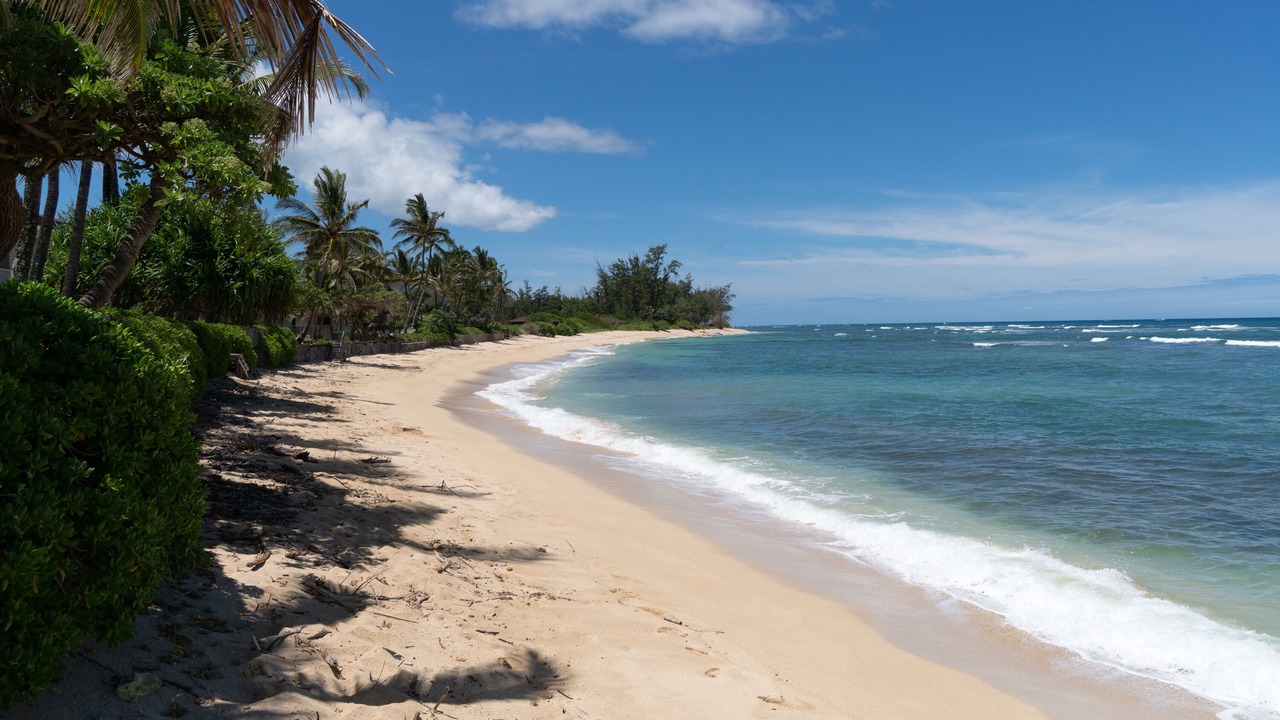 Photo of Others in Mokuleia