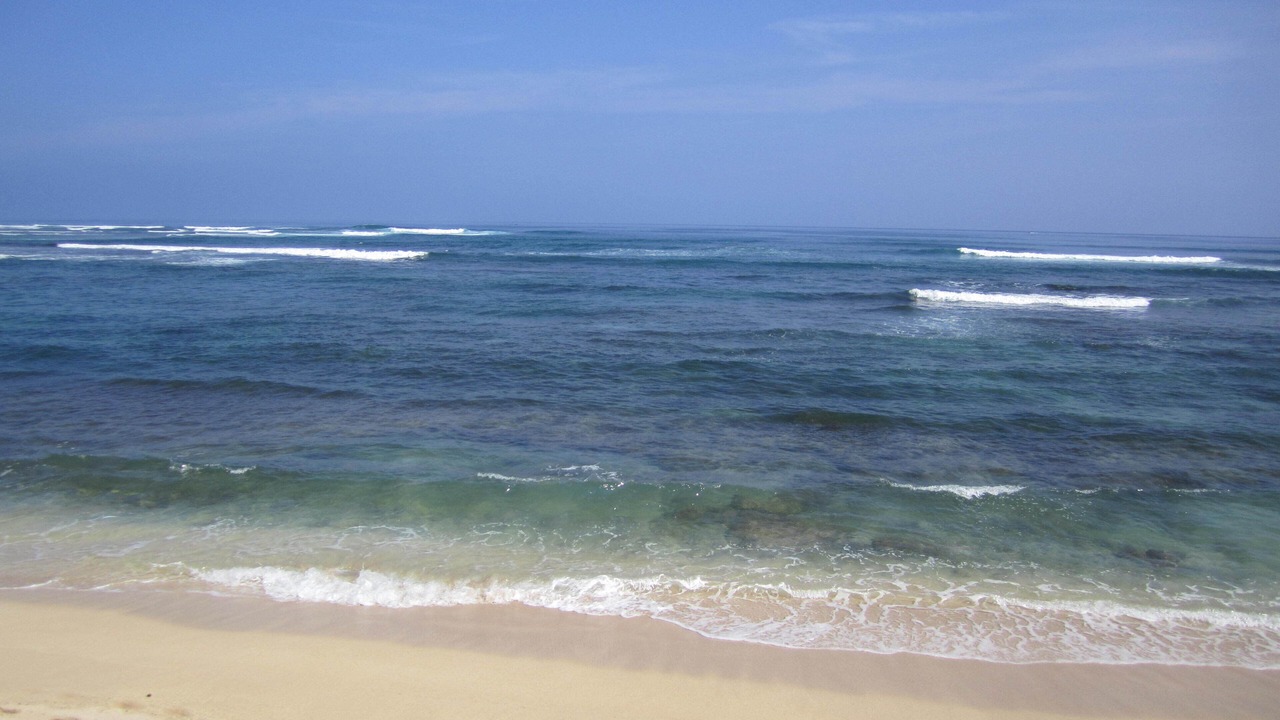 Photo of Others in Mokuleia