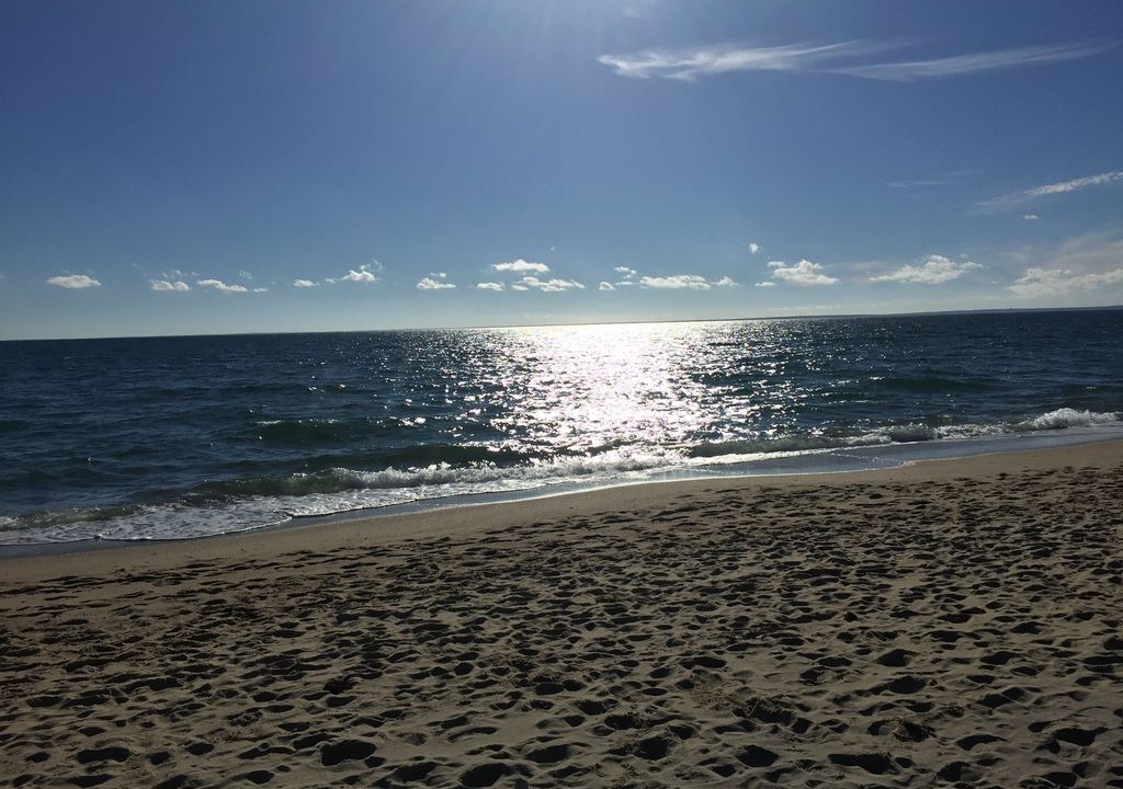 Photo of Others in Mashpee