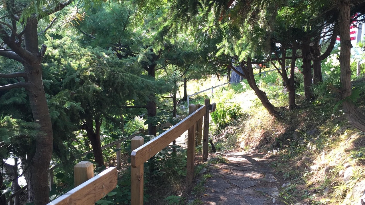 Photo of Outdoor in Walloon Lake