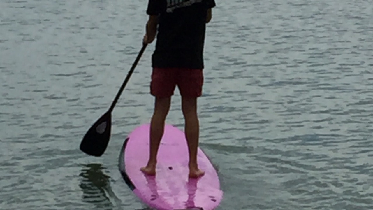 Photo of Others in Mollymook Beach