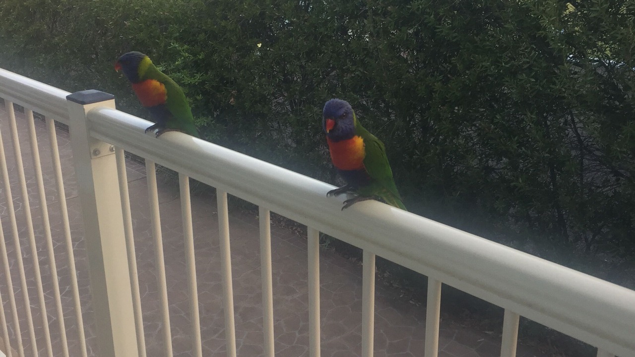Photo of Others in Mollymook Beach