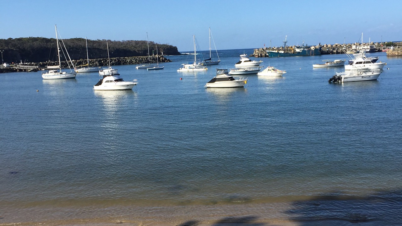 Photo of Others in Mollymook Beach