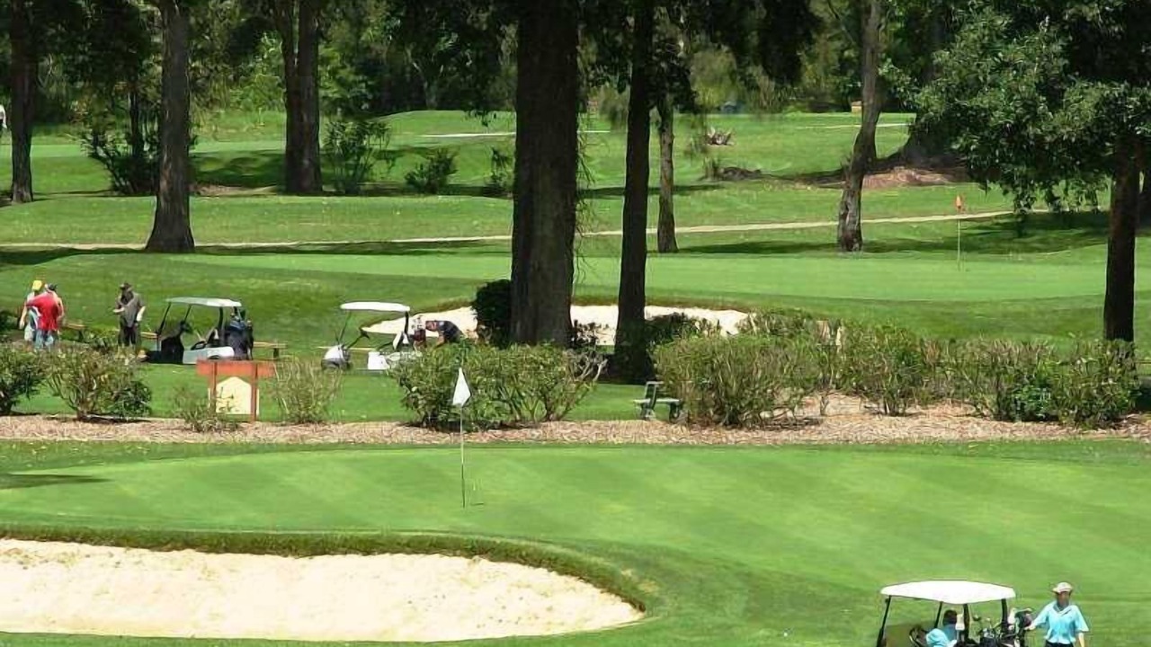 Photo of Others in Mollymook Beach