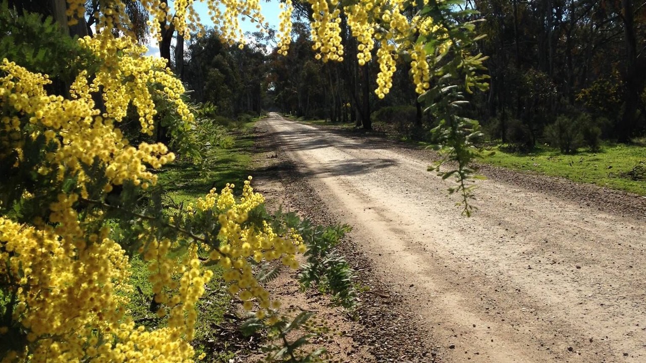 Photo of Outdoor in Tarnagulla