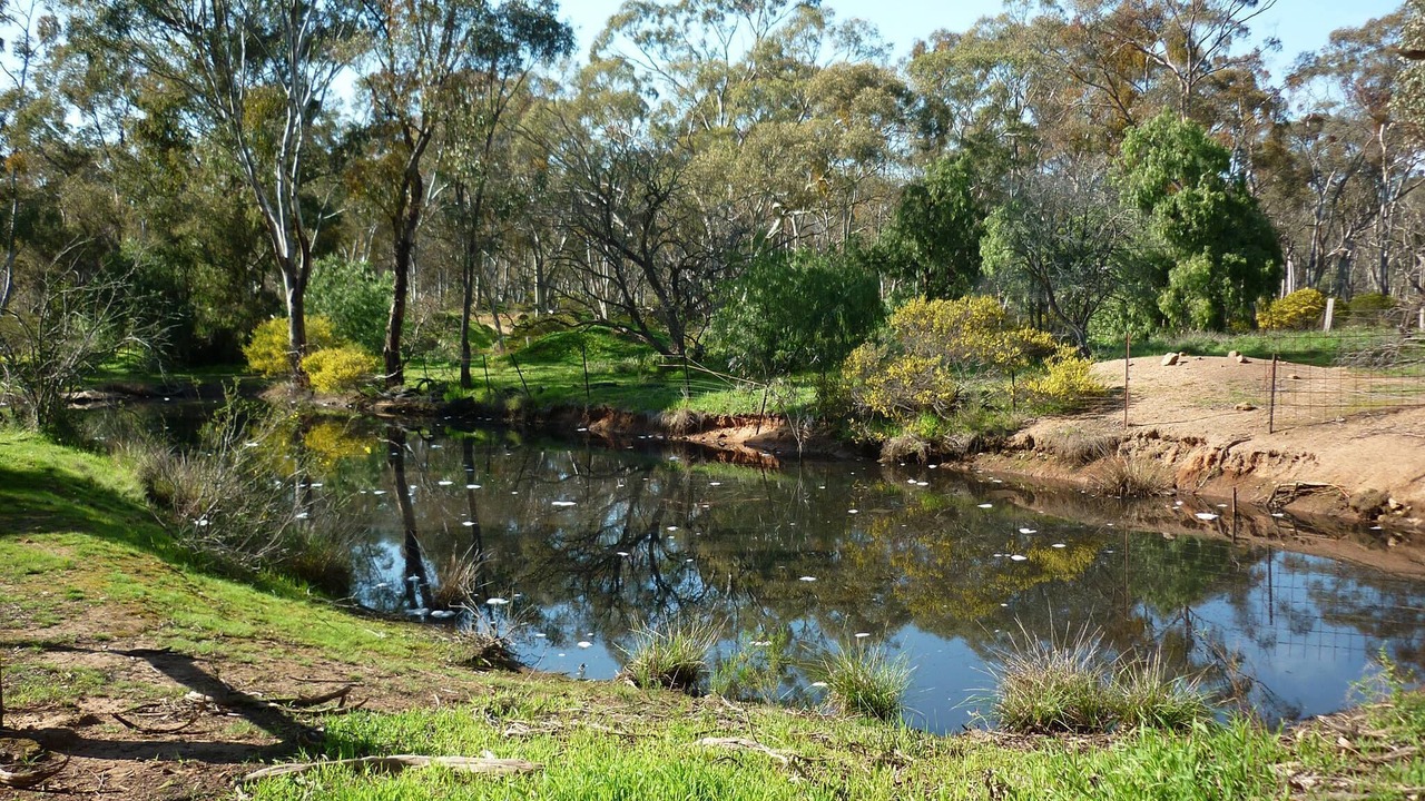 Photo of Outdoor in Tarnagulla