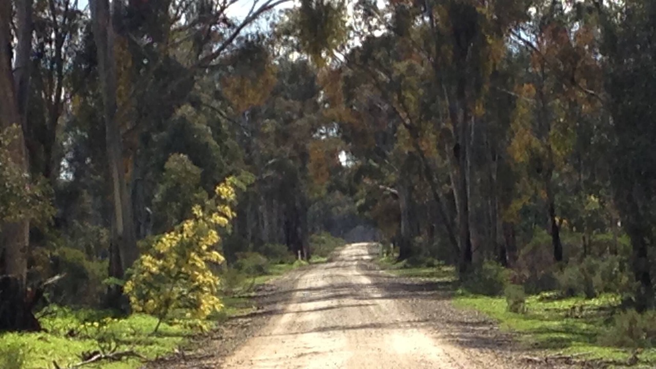 Photo of Outdoor in Tarnagulla