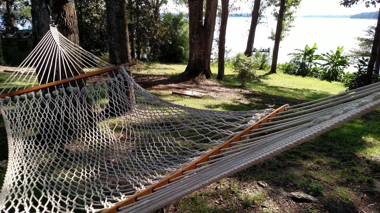 Photo of Others in Quincy