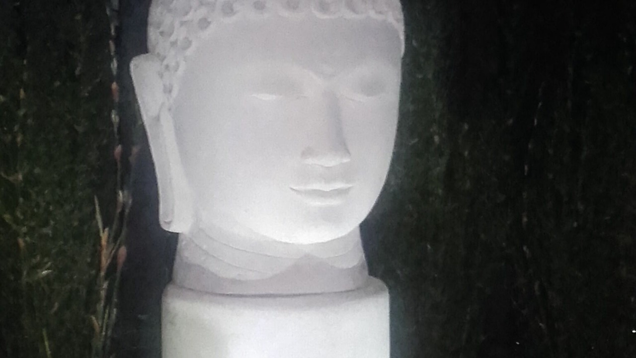 Photo of Outdoor in Onehunga