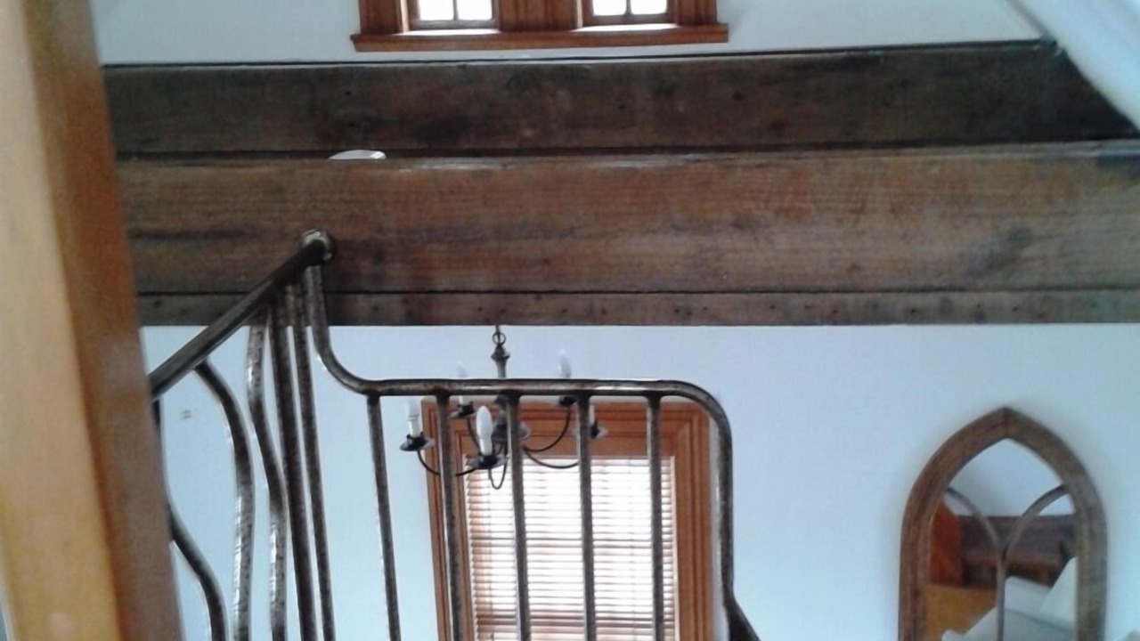 Photo of Others in Onehunga