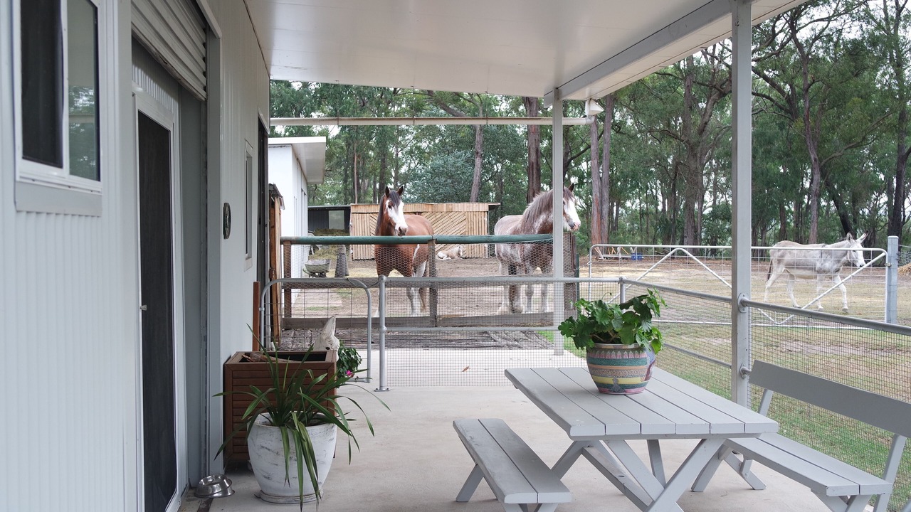 Photo of Outdoor in Blaxlands Ridge