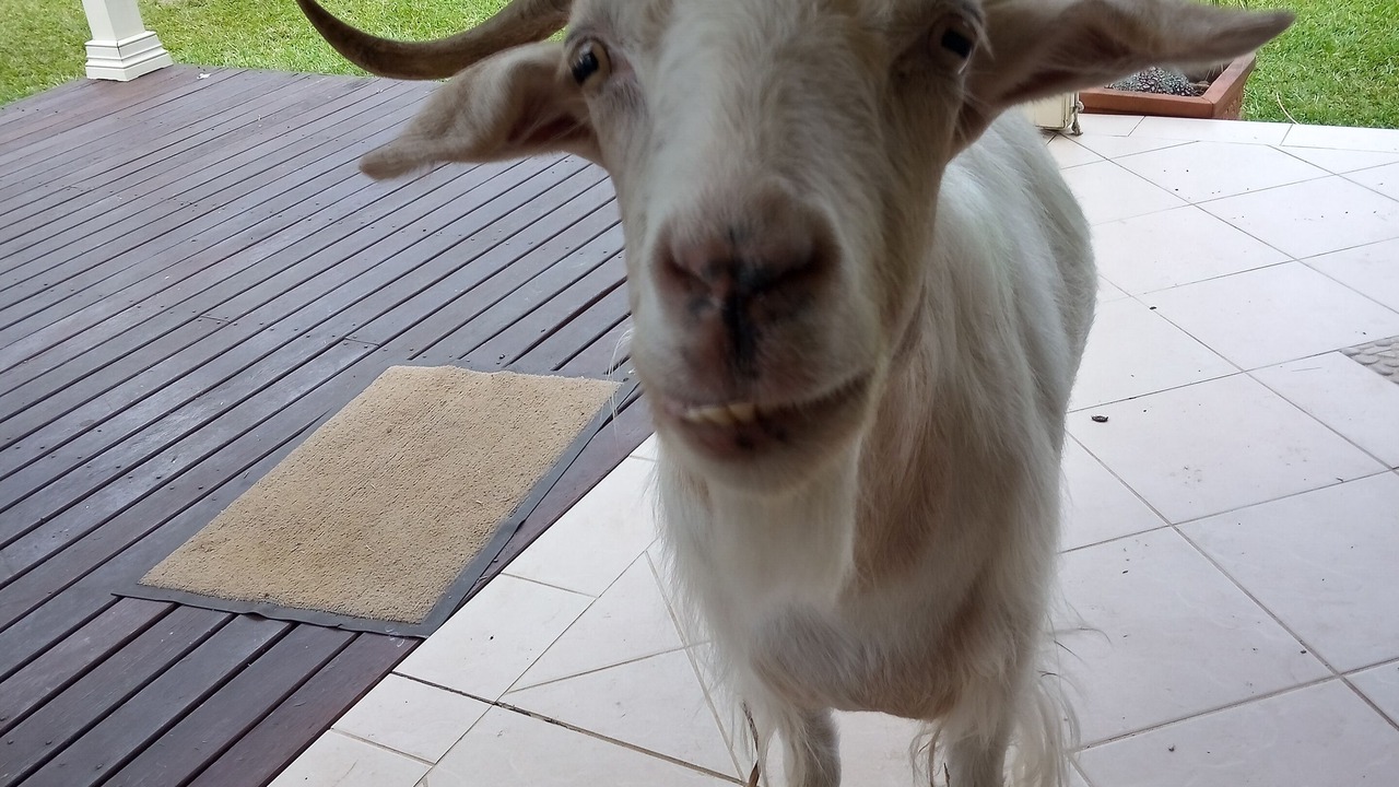 Photo of Others in Broughton Vale