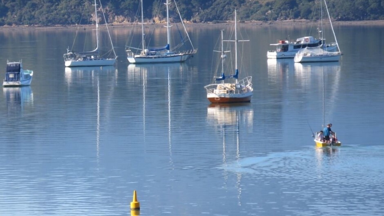 Photo of Others in Coromandel