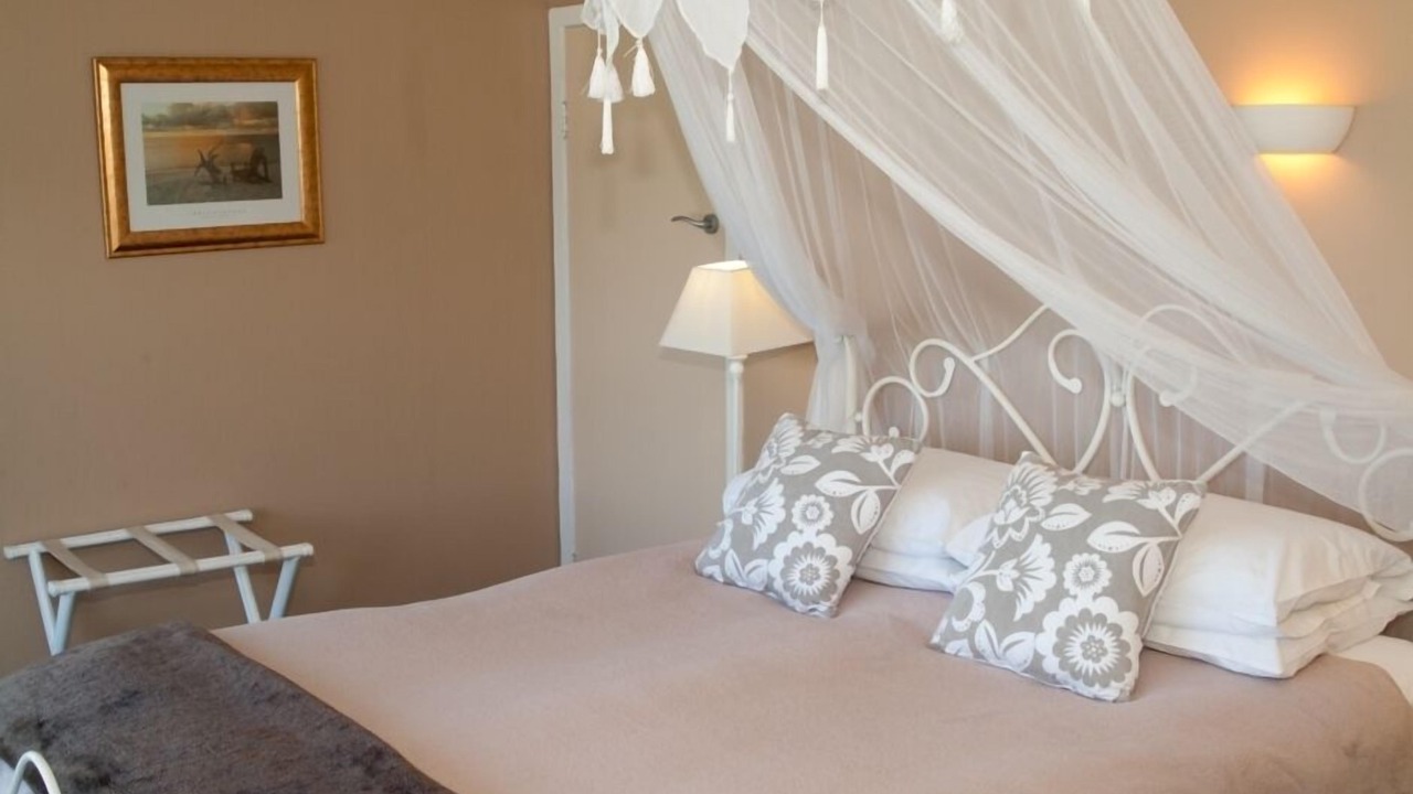 Photo of Others in Coromandel