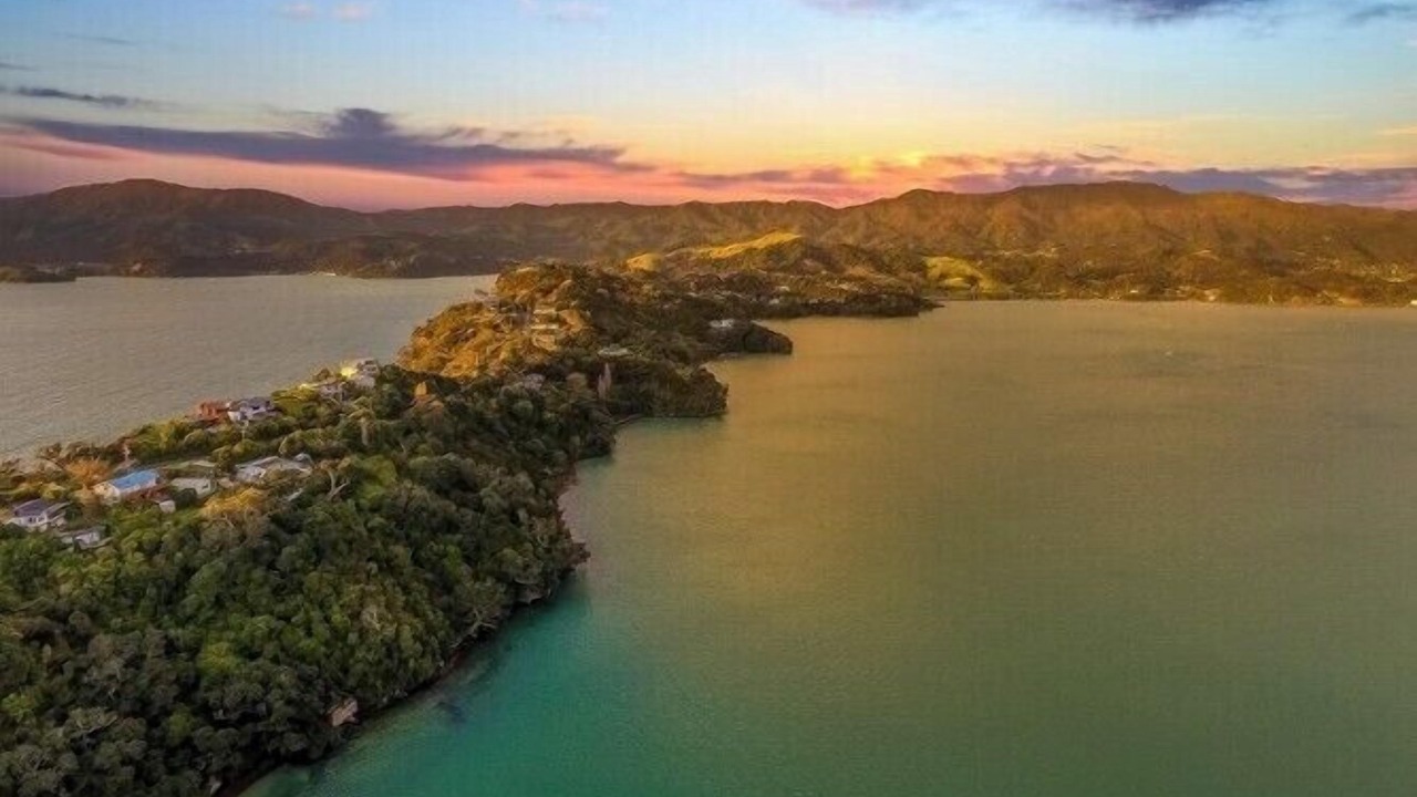 Photo of Outdoor in Coromandel