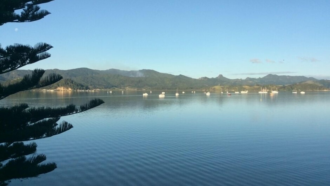 Photo of Others in Coromandel