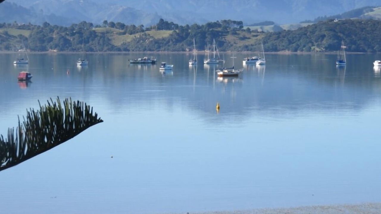 Photo of Others in Coromandel